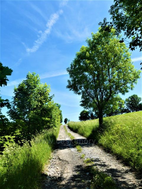 Cesta k vrcholu Hřebínku