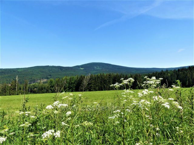 Pohled z Hřebínku na Jeřábek (838 m.m.m.) a Jeřáb (1003 m.n.m.)