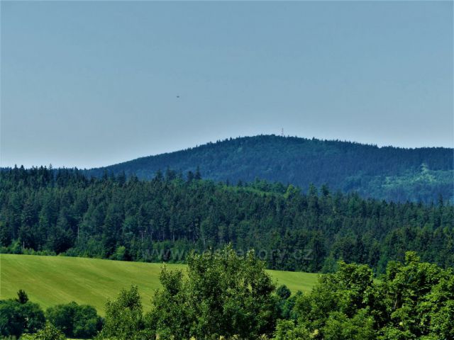 Pohled z vrcholu hřebínku na Bukovou horu
