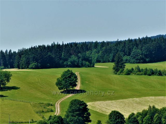 Cesta z Písařovského sedla  na protilehlý  vrch Spálenisko (746m.n.m.)