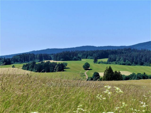 Pohled z vrcholu Hřebínek k protilehlému vrchu Spálenisko (746 m.n..)