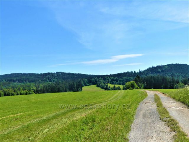 Pohled z Hřebínku na Hrubý les(vlevo) a na Čečolu (vpravo)