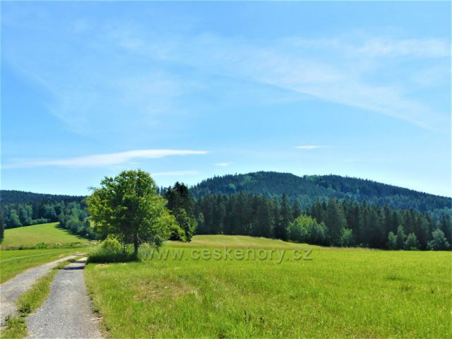 Pohled z Hřebínku na Čečolu (839 m.n.m.)