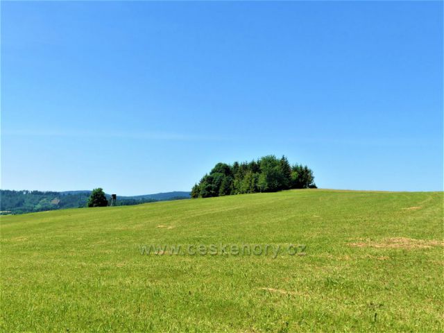 Pohled k vrcholu Hřebínku