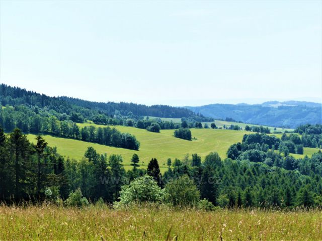 Úbočí Čečoly nad Písařovem