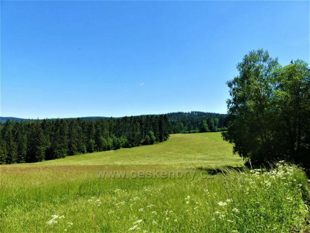 Pastvina pod hájovnou U tří tabulí