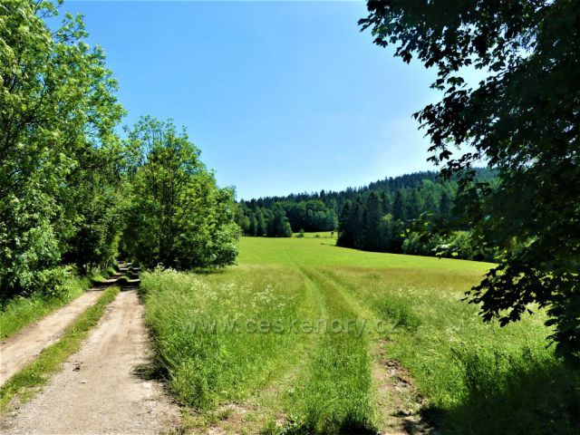 Cesta k hájovně U tří tabulí