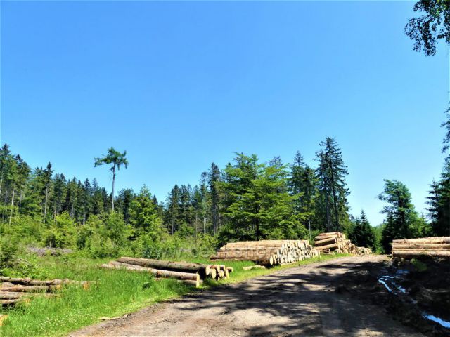 Odvozní místo u rozcestí Čečel silnice