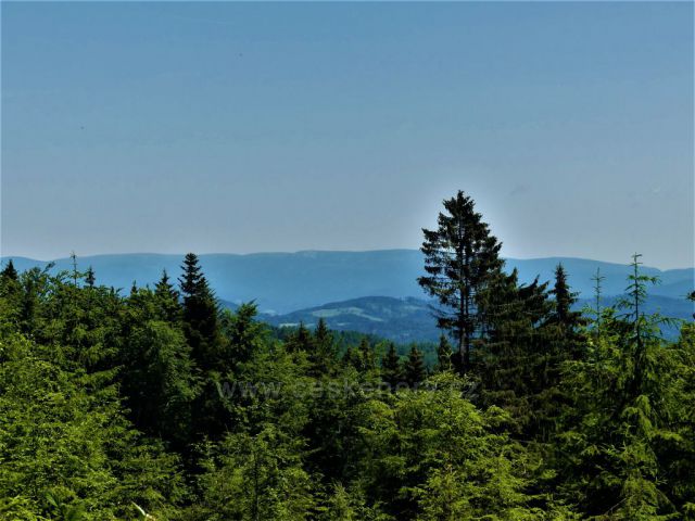 Pohled na hřeben Jeseníků