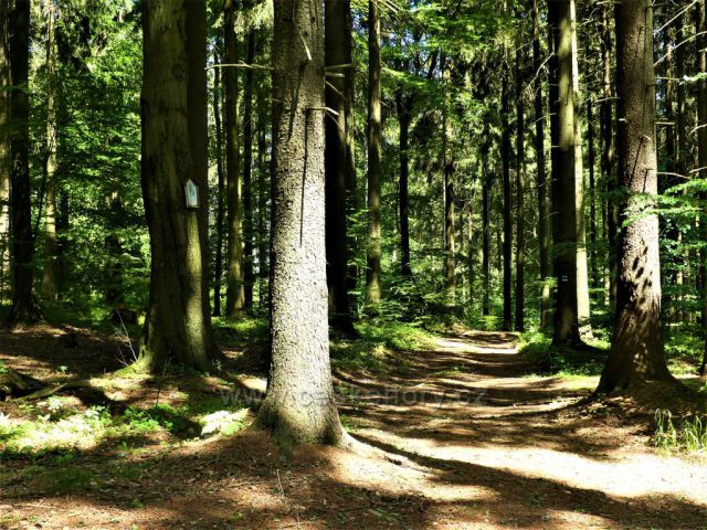 Pamětní obrázek u cesty k partyzánskému bunkru