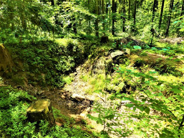 Partyzánský bunkr na vrchu Čečola nad Píařovem