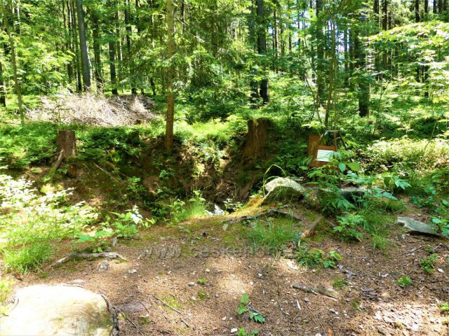 Partyzánský bunkr na vrchu Čečola nad Písařovem