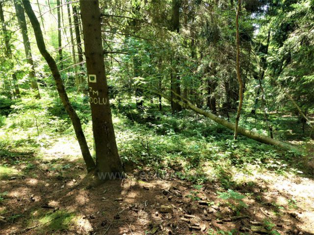 Označení odbočky ke studánce na úbočí Čečoly