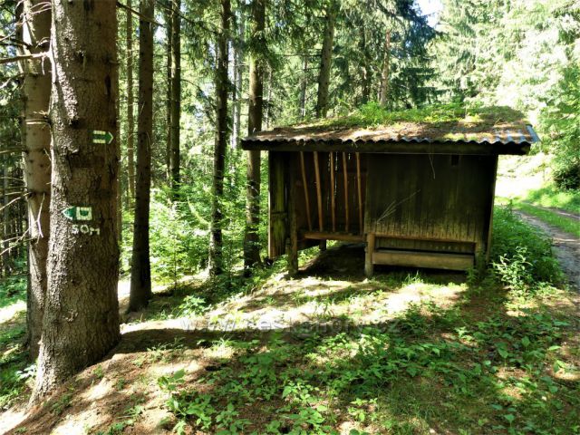 Označení odbočky z vrstevnicové cesty ke studánce na úbočí Čečoly.