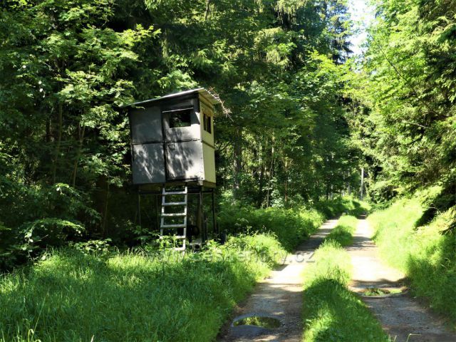 Posed u vrstevnicové cesty na úbočí Čečoly