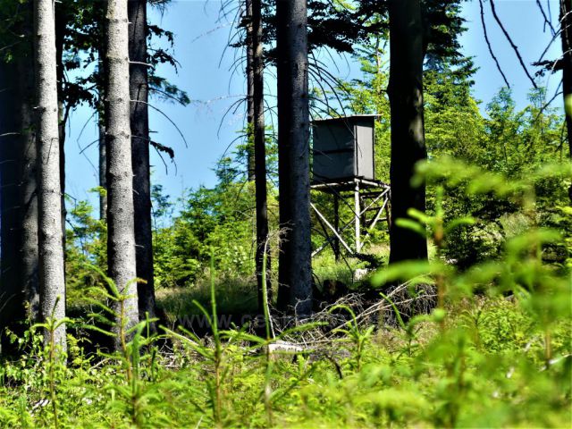 Posed na úbočí Čečoly