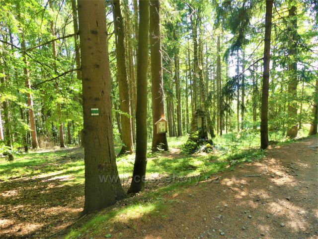 Písařov - cesta nad památníkem tragické události na úpatí Čečoly