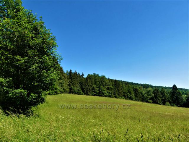 Pastvina pod Čečolou