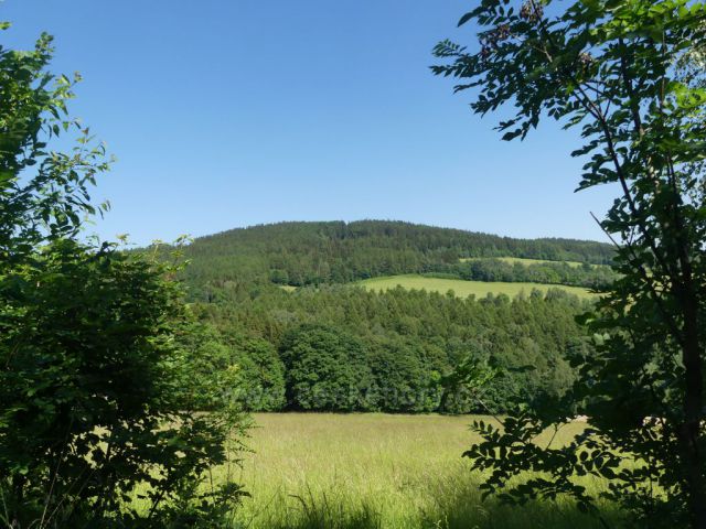 Pohled od Písařova na vrch Čečola (839 m.n.m.)