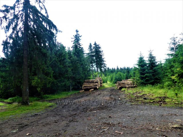 Horské sedlo  Hvězda(843 m.n.m.) odděluje Prostřední vrch (872 m.n.m) od Suchého vrchu (995 m.n.m.)