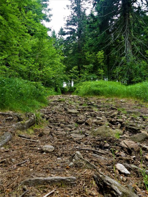 Kamenitá cesta k vrcholu Suchého vrchu