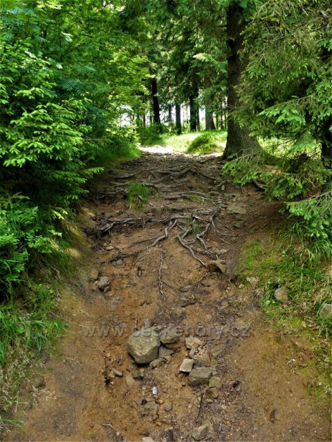 Kamenitá cesta k vrcholu Suchého vrchu
