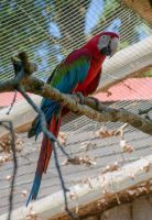 Výlet do ZOO Jihlava