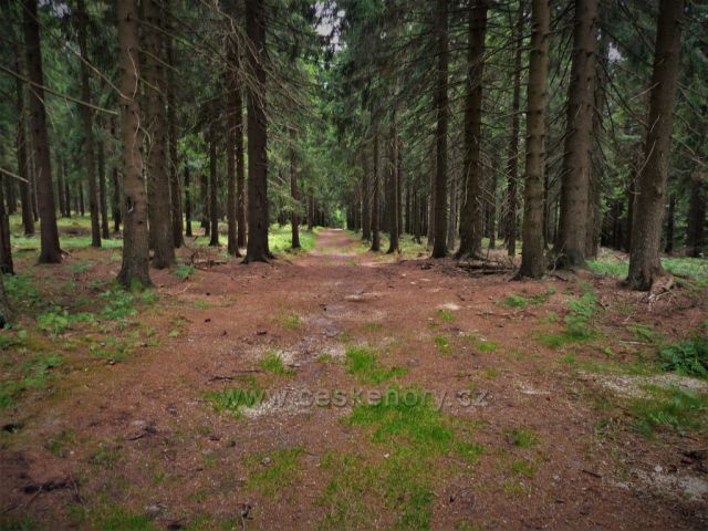 Okolo Blatenského vrchu