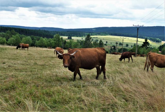 Okolo Blatenského vrchu