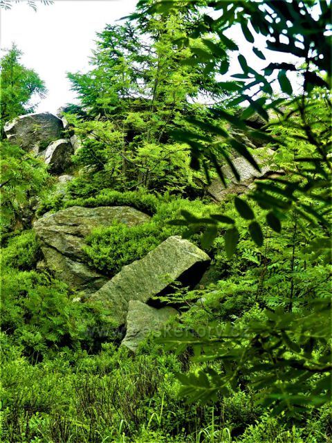 Skalní útvar na vrcholu Suchého vrchu