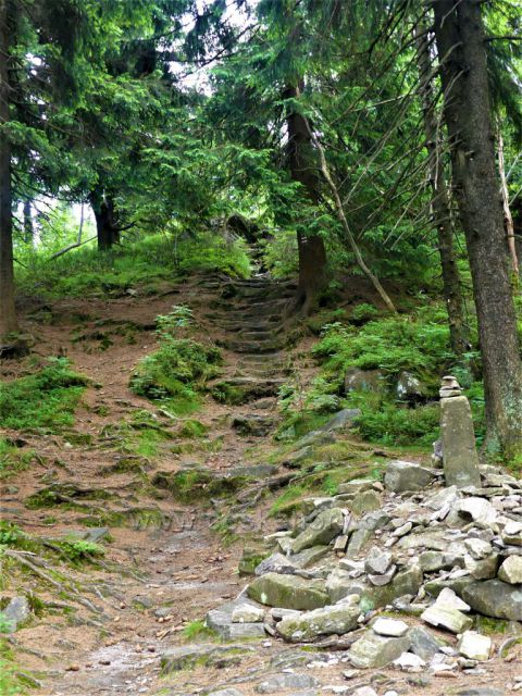 Suchý vrch - stezka z Bradla ke Třem pánům po červené TZ