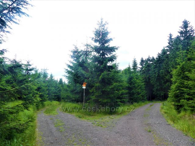 Suchý vrch - po modré TZ přes Kobylí důl do Těchonína