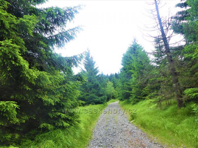 Suchý vrch - cyklostezka od Tří pánů k rozhledně na Suchém vrchu