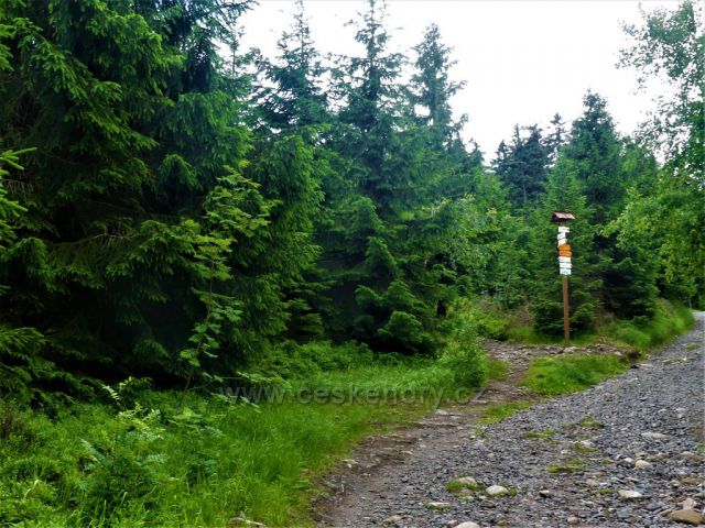 Suchý vrch - turistický rozcestník Pod Bradlem
