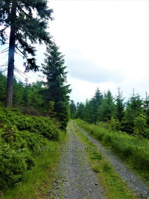 Cyklostezka k rozhledně na Suchém vrchu