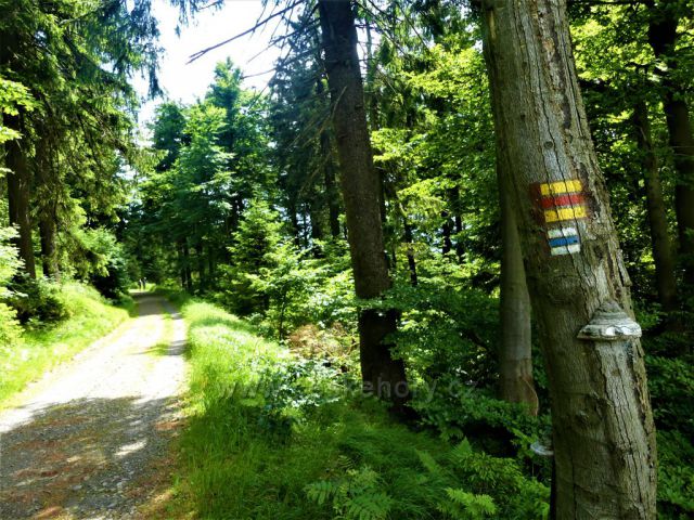 Cyklostezka k rozhledně na Suchém vrchu