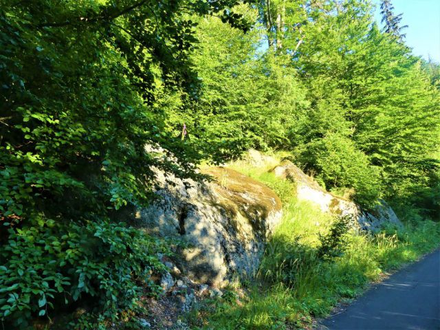 Podél silničky k Bartlovo boudě