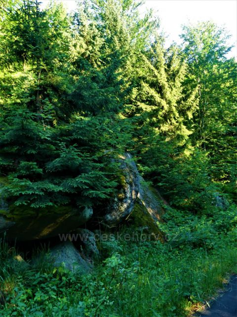 Podél silničky k Bartlovo boudě