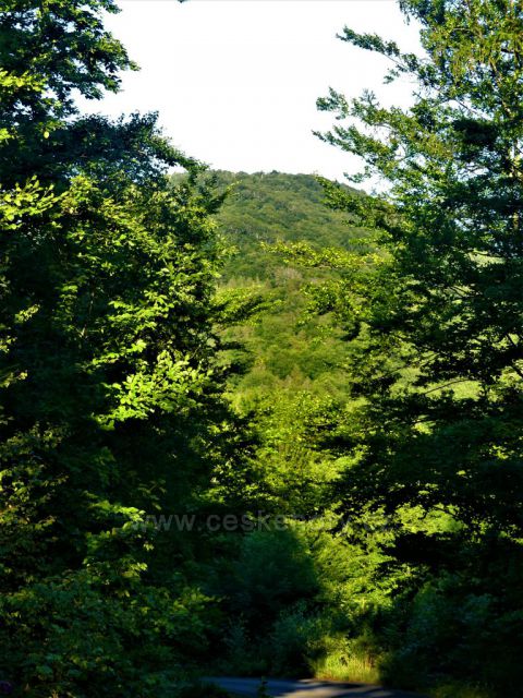 Průhled z cesty k Bartlovo boudě k Paličníku