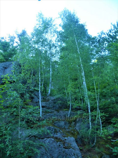 Skalní útvar nad cestou k Bartlovo boudě