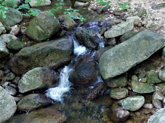 Detail části řečiště Hájeného potoku