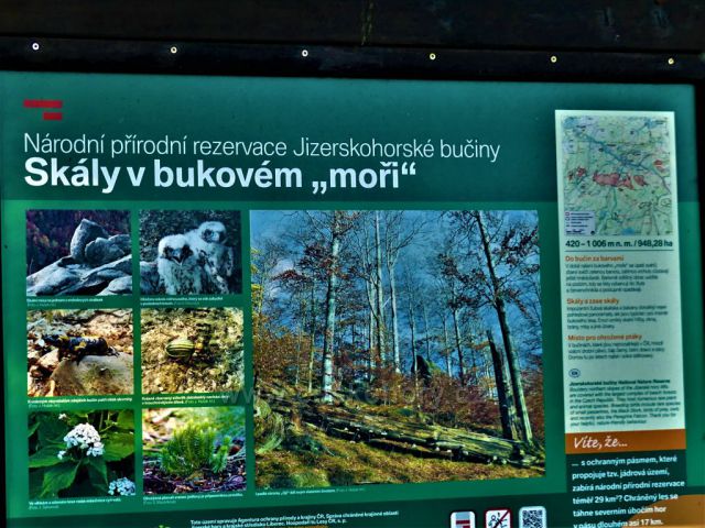 Tabule NPR Jizerskohorské bučiny