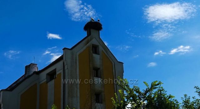 Černá v Pošumaví - kostel Neposkvrněného početí P.Marie