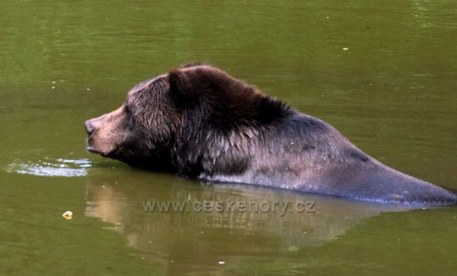 Podkrušnohorský Zoopark
(osvěžení v parném dni)