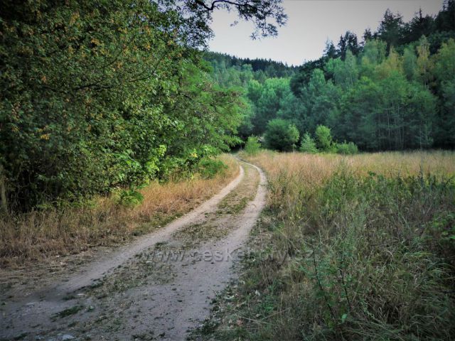 Cesta k hradu Hasištejn