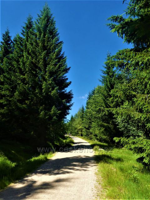 Štolpišská silnice k Paulově pasece