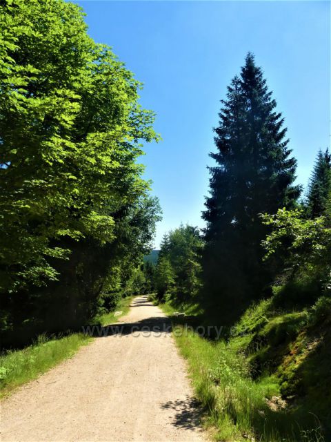 Štolpišská silnice k Paulově pasece