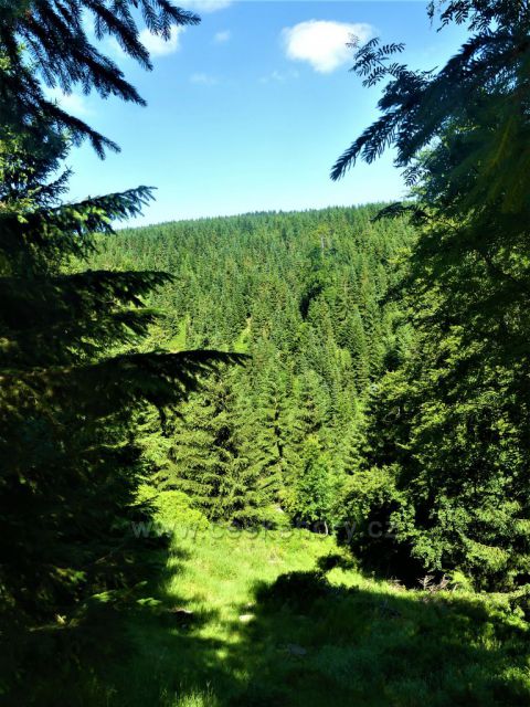 Průhled na úbočí Smědavské hory