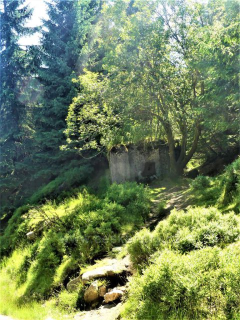 Bunkr u Štolpišské silnice.