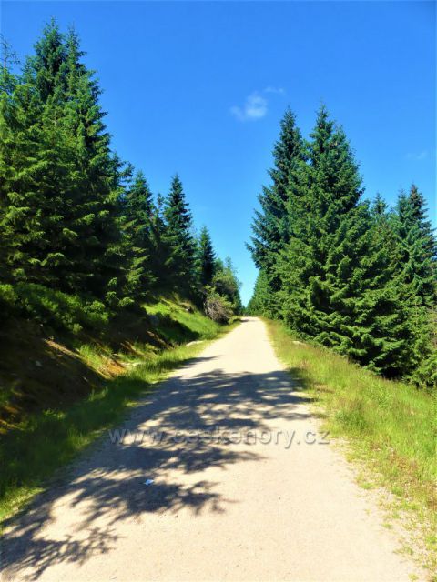 Štolpišská silnice k Paulově pasece